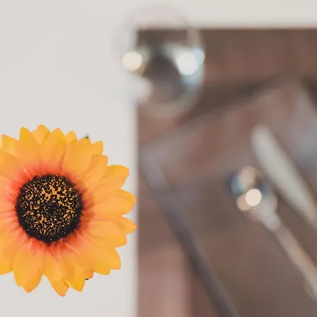 Panzió Trip & Breakfast