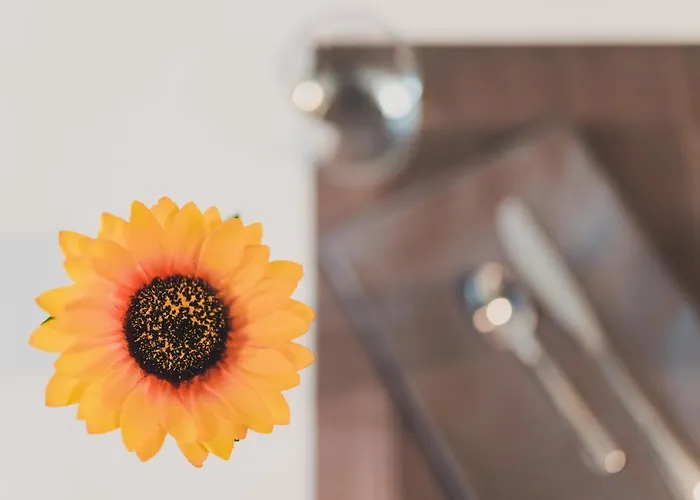 Alojamento de Acomodação e Pequeno-almoço Trip & Breakfast