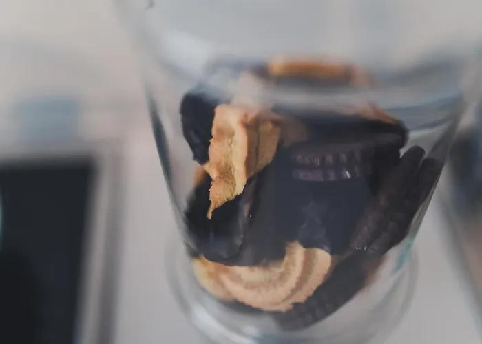 Bed & Breakfast Trip & Breakfast